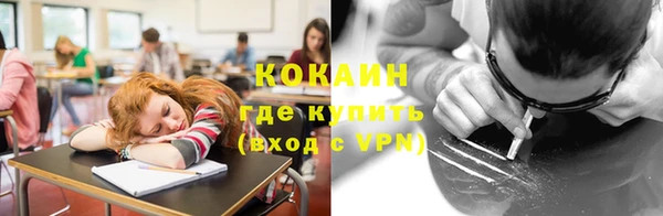мдпв Пестово