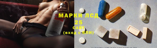 ГАЛЛЮЦИНОГЕННЫЕ ГРИБЫ Арсеньев