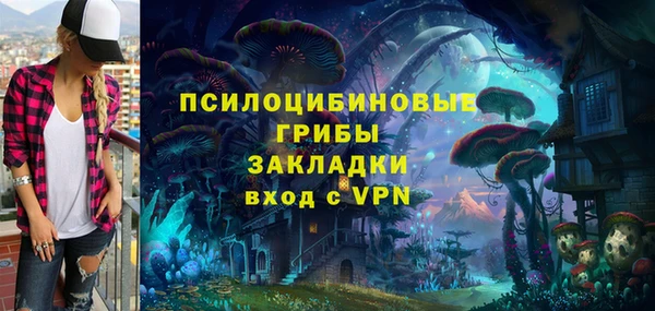 прущие грибы Нягань
