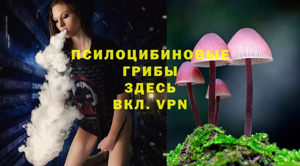 ешки Медвежьегорск