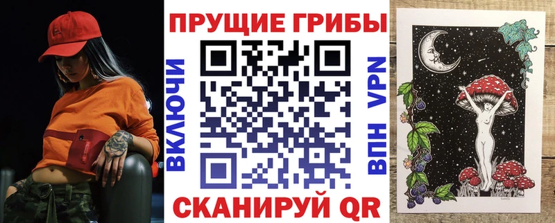 блэк спрут ТОР  Николаевск-на-Амуре  Галлюциногенные грибы мицелий 